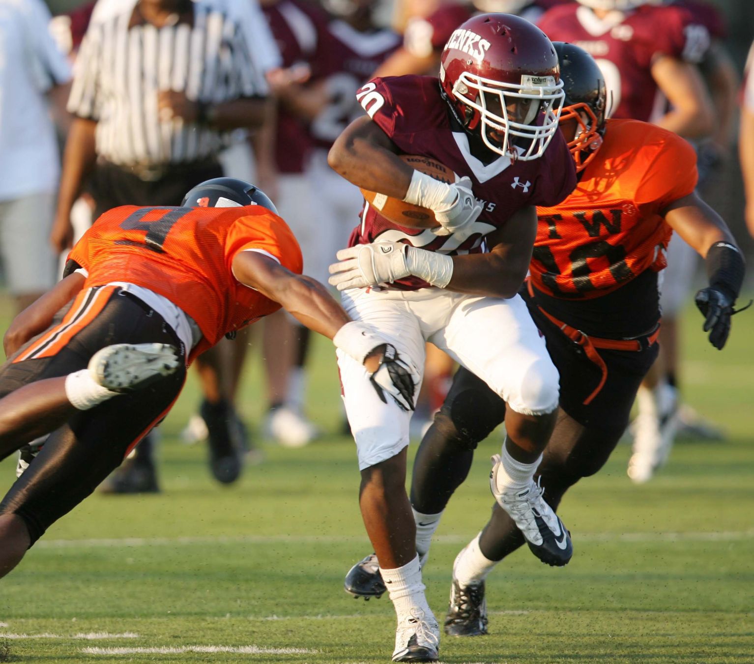 Darwin Thompson